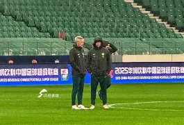 九游平台网页版-神奈川冲浪里